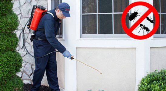 Özkanlar Bit İlaçlama böcek ilaçlama ve haşere kontrolü — ilaclama-tr.com